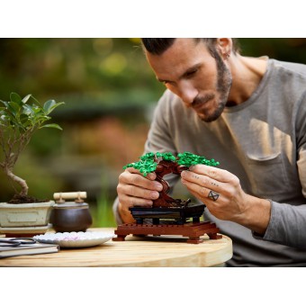 LEGO Creator - Drzewko bonsai 10281
