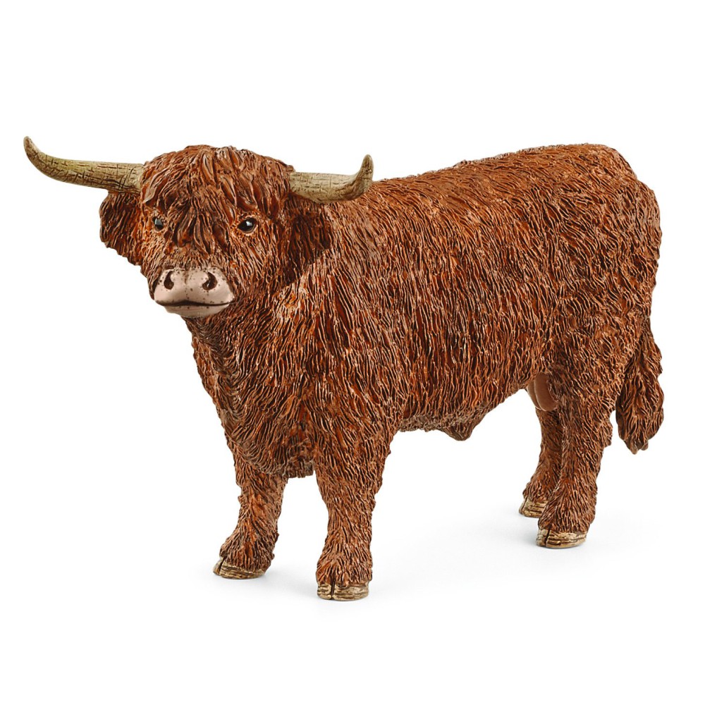 Schleich - Byk rasy wyżynnej Highland Bull 13919