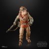Hasbro Star Wars The Black Series - The Mandalorian Figurka Kuiil 15 cm F1306