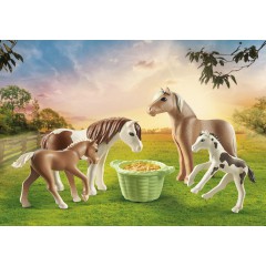 Playmobil - Dwa konie islandzkie ze źrebakiem 71000