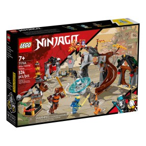 LEGO Ninjago - Akademia wojowników Ninja 71764