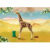 Playmobil - Wiltopia Żyrafa 71048