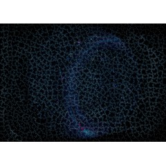 Ravensburger - Puzzle Krypt Universe Glow 1000 elem. 17280