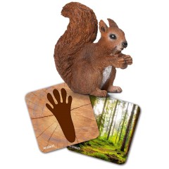 Schleich Wild Life - Figurki i karty 42474
