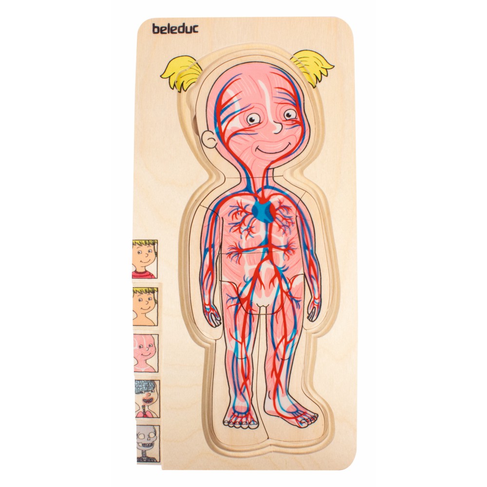 Beleduc - Układanka drewniana Ciało: Dziewczynka Warstwowe puzzle edukacyjne 17160