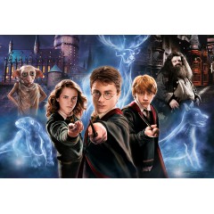 Trefl - Puzzle Super Shape XL Harry Potter Magiczny świat 160 elem. 50034