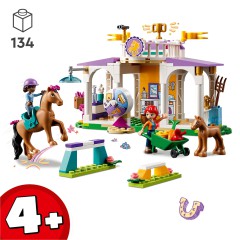 LEGO Friends - Szkolenie koni 41746