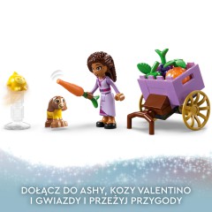 LEGO Disney Princess - Asha w Rosas 43223