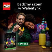 Za chwilę Walentynki! Czy masz już prezent dla ukochanej osoby? Podaruj nowość LEGO® Bukiet z polnych kwiatów! Bądźcie razem w Walentynki. 

 #LEGO #LEGOADULTS #LEGOKWIATY #LEGOBotanical 
#krainazabawy #zabakionline #klockilego #sklepzzabawkami